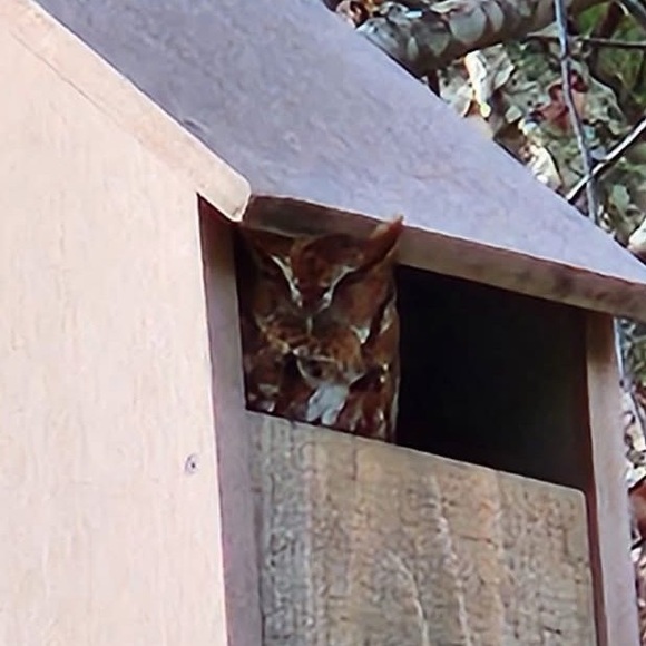 Meet your Posher, Megan - Picture 1 of 1